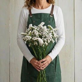 Hipster White, Statice Seeds